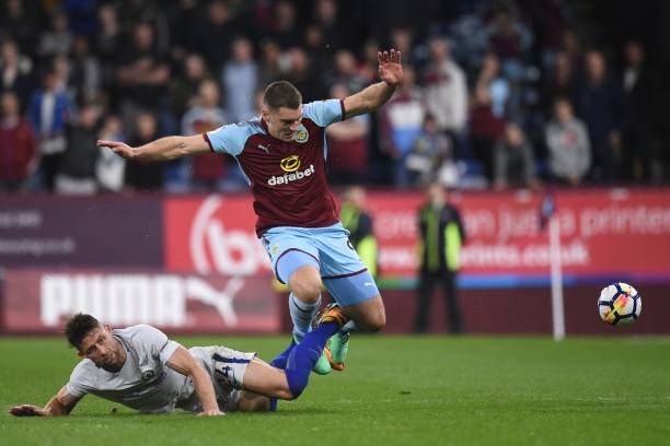 不仅证明了 不仅证明了